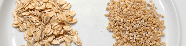 oatmeal-banner.jpg