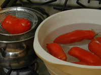 tomatoOpalkaSm.jpg