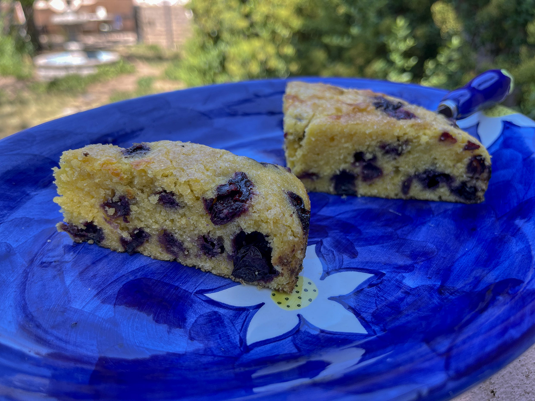 lemon-blueberry-olive-oil-cake-taste-imagine