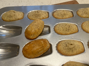 two different madeleines just out of the oven